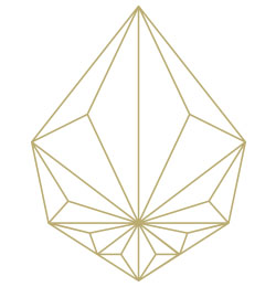 terpenes's logo terpenes's Company logo